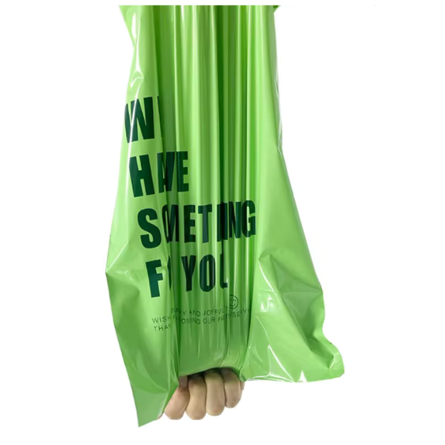 100 Express Polymailers Packaging 32x43cm Self-Adhesive Green Print