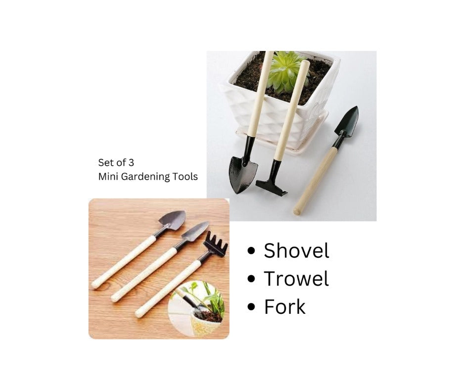 10 PC Balcony Gardening Bonsai and Outdoor Set in Carry Case with Handle