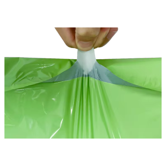 100 Express Polymailers Packaging 17x30cm Self-Adhesive Green Print