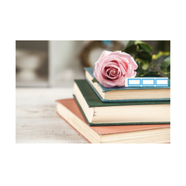 20 Sheets 40 p/sheet 800 Label Sticker Self-Adhesive Writable School Book