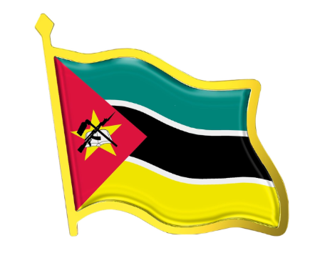 Mozambique Africa National Flag Lapel Pin