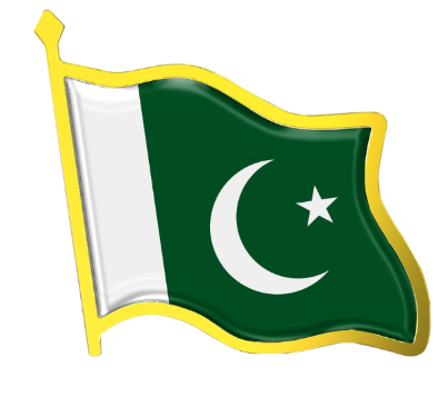 Pakistan Asia National Flag Lapel Pin